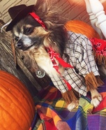 Barnibus the Cowboy Homemade Costume