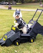 Batman Homemade Costume