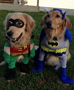 Batman and Robin Costumes