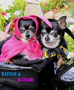 Batman & Batgirl Dog Costumes