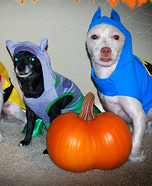 Batman, Robin, and Catwoman Costums Dogs