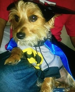 BatMax Dog Homemade Costume