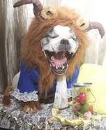 Beast from Beauty and the Beast Homemade Costume