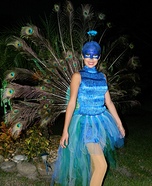 Beautiful Peacock Costume