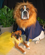 Beauty and the Beast Dogs Costume