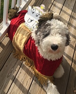 Beauty and the Beast Sultan Homemade Costume