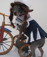 Bicycle Dog Homemade Costume