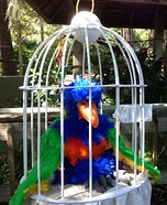 Illusion costume ideas - Bird in a Cage