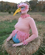 Mama Bird sitting on Egg in a Nest