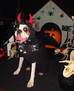 Boxer Dudes Homemade Costume