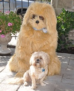 Boys Best Friend Homemade Costume