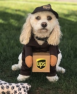 Brody the UPS Helper Costume