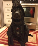 Darth Vader Costume for Dogs