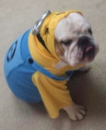 Bulldog Minion Costume