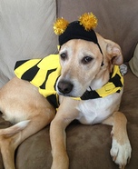 Bumble Bee Dog Costume