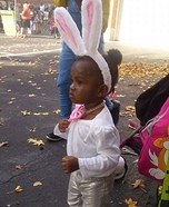 Bunny Homemade Costume