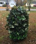 Bush Homemade Costume