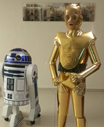 C3PO and R2D2 Homemade Costume