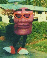 California Raisin Homemade Costume