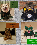 Canine Justice League Homemade Costume