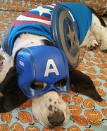 Captain America Dog Costume