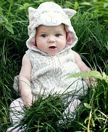 Cat Baby Costume