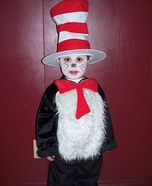 Cat in the Hat Costume