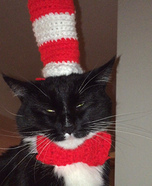 Cat in the Hat Costume for Cat
