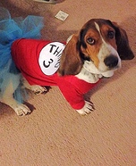 Cat in the Hat with the Things Costume Ideas for Pets