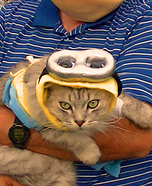 Minion Cat Costume