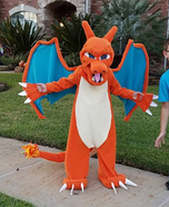 Charizard Homemade Costume