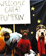 Charlie Brown Great Pumpkin Pet Costumes