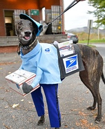 Charlie the Greyhound Mail Carrier Homemade Costume