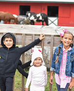 Charlotte's Web Homemade Costume