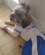 Cheerleader Dog Homemade Costume