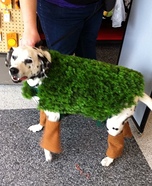 DIY Chia Pet Dog Costume