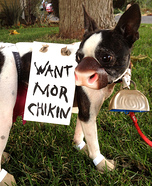 Chick-Fil-A Costume