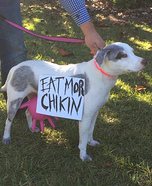 Chick-fil-A Cow Dog Homemade Costume