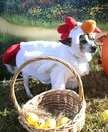 Chicken Head Dog Costume