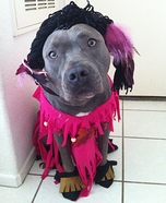 Homemade Pocahontas Costume for Dogs