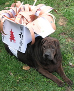 Chinese Take-out Homemade Costume