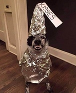 Chocolate Kiss Dog Homemade Costume