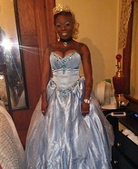 Cinderella Homemade Costume