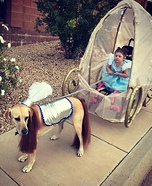 Cinderella and her Carriage Homemade Costume