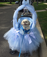 Cinderellie Homemade Costume