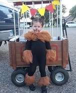 Circus Lion Homemade Costume