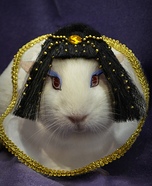 Cleopigtra Homemade Costume