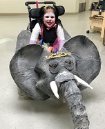 Clown and Elephant Homemade Costume
