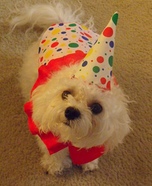 DIY Clown Dog Costume