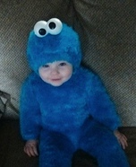Cookie Monster Costume